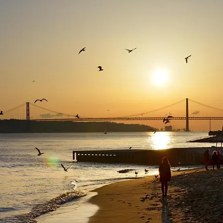 Famous Crows Pensionat Lisboa